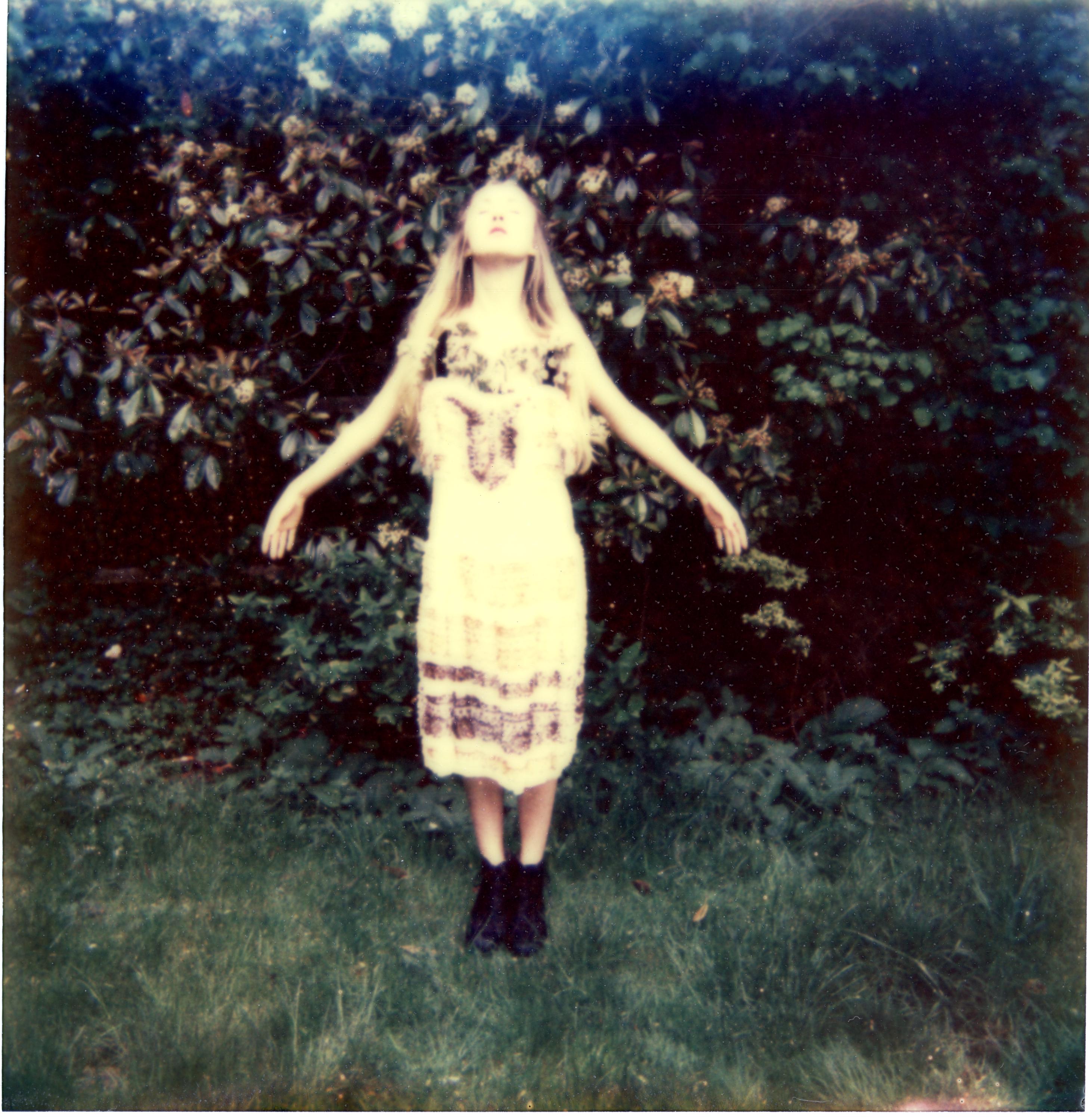 I Am the Garden