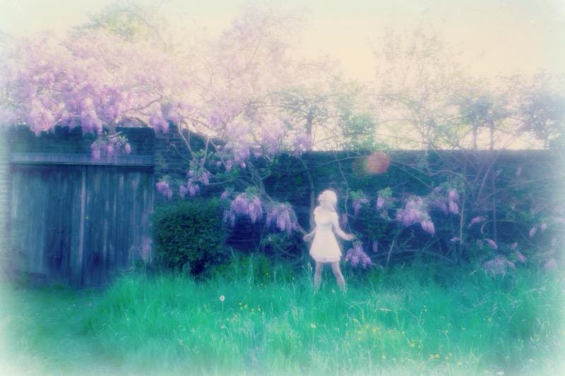 The Garden Promise